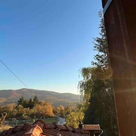 House Official * Ni